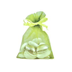 Sachets organdi vert clair